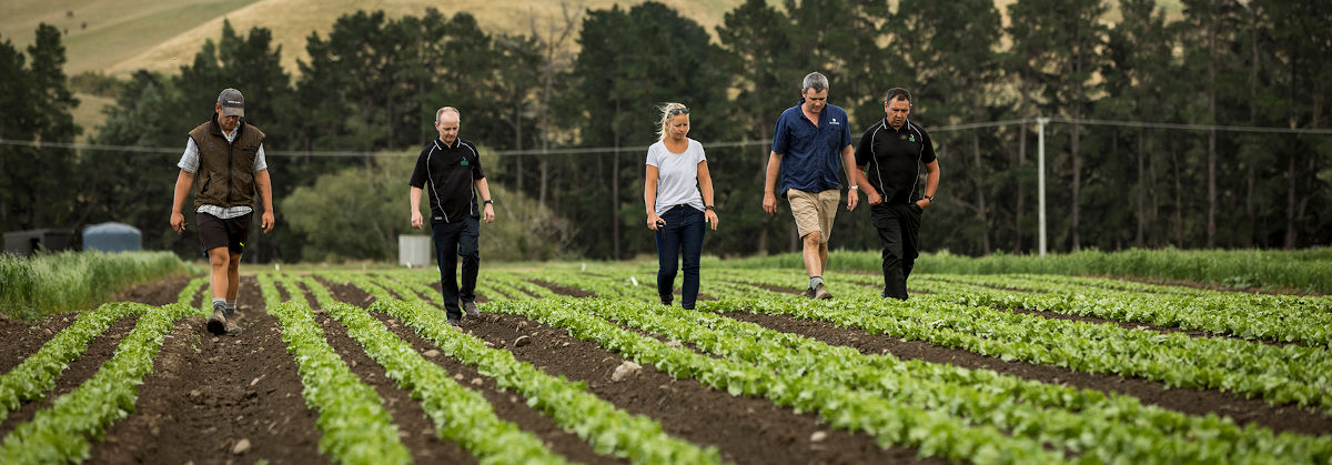 Growers of Premium 
Fresh Produce